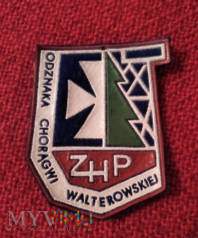 Odznaka ZHP