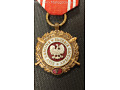 Medal Siły Zbrojne w Służbie Ojczyzny za V lat