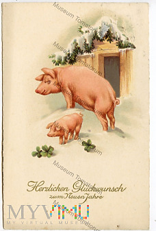 Świnka Noworoczna - 1927