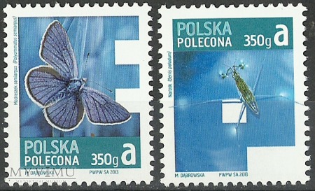 Polska Polecona A