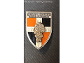 Pamiątkowa odznaka 46 Pułku Piechoty - Francja