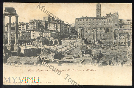 Roma - Forum Romanum - 1905
