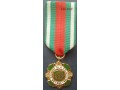 Złota Odznaka Za zasługi dla celnictwa PRL