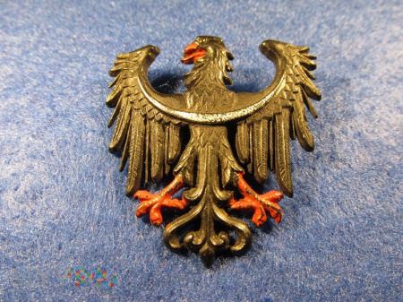Orzeł Śląski-odznaka KWHW