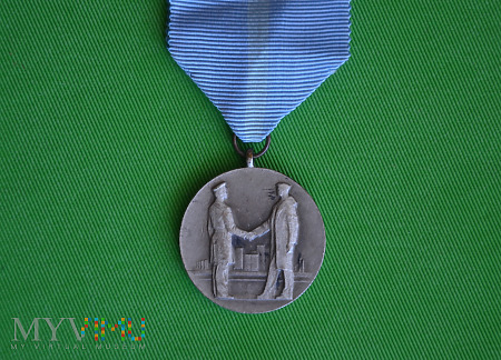 Medal: Za dobrovolnou práci ve prospěch socialisti