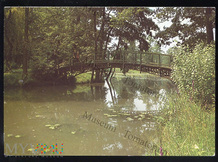 Pszczyna - Park krajobrazowy przy pałacu - 1979
