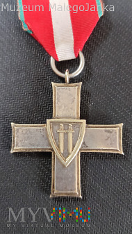 Duże zdjęcie Krzyż Grunwaldu II klasy - Krasnokamsk ?