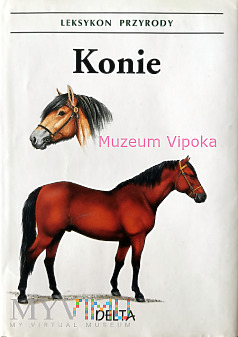 Konie - Leksykon przyrody