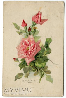 Catharina C. Klein piękne kwiaty róże Flowers