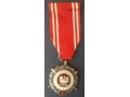 Medal Siły Zbrojne w Służbie Ojczyzny X
