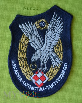 Oznaka 10 Eskadry Lotnictwa Taktycznego
