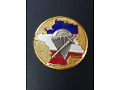Odznaka Narodowego Centrum Szkoleniowe Komandosów