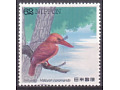 Ruddy Kingfisher (Halcyon coromanda)