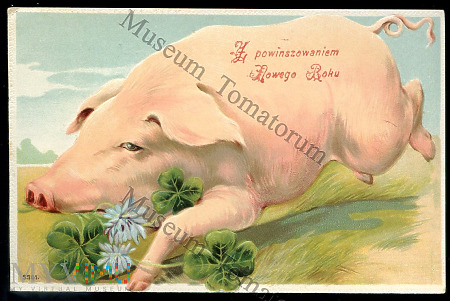 Świnka Noworoczna - 1915