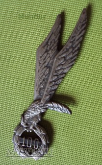 Odznaka skoczka spadochronowego