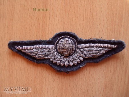 Oznaka haftowana Luftwaffe