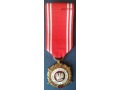 Medal Siły Zbrojne w Służbie Ojczyzny V