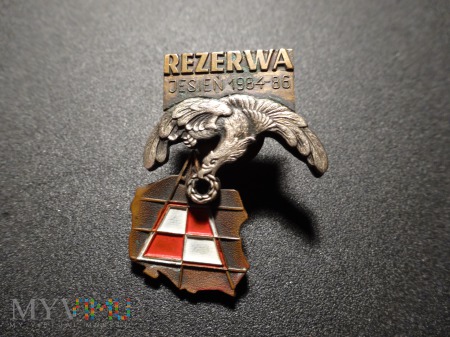 Odznaka Rezerwa 1984-1986 : JW1074 Poznań