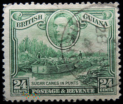 Gujana Brytyjska 24c Jerzy VI