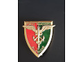 Odznaka Siły Francuskie w Niemczech 1949/93