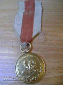Duże zdjęcie Złoty Medal Za Zasługi dla Pożarnictwa