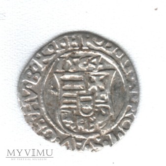 Denar z 1564r Ferdynand I (1526-1564), Krzemnica