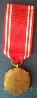 Medal Siły Zbrojne w Służbie Ojczyzny V