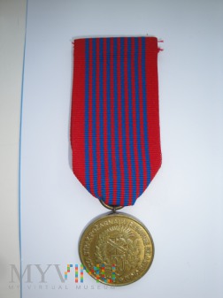 Medal 90 lecia OSP Rokitno Szlacheckie