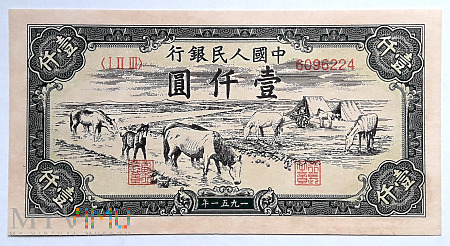 1000元 1951
