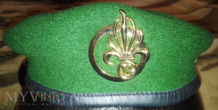 13ème demi-brigade de Légion Étrangère, 13 DBLE