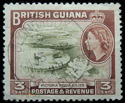Gujana Brytyjska 3c Elżbieta II