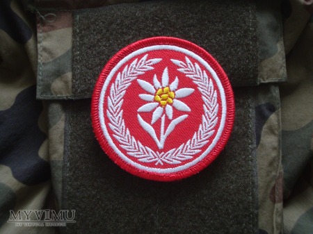Duże zdjęcie 1 Batalion Strzelców Podhalańskich, 21 BSP