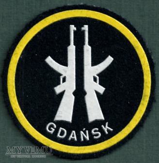 Duże zdjęcie jednostka Obrony Terytorialnej - Gdańsk