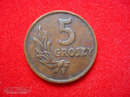 5 groszy 1949 rok (brąz)
