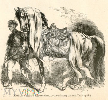 Duże zdjęcie Kossak - Koń w rzędzie rycerskim