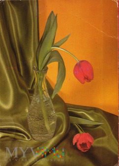 Duże zdjęcie Tulipany