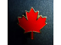 Kanadyjski liść klonowy