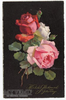Duże zdjęcie 1929 Catharina C. Klein Róże Roses