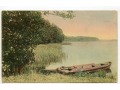 Widok wiejski nad jeziorem - 1917