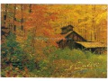 Quebec - Barwy jesieni - lata 90-te